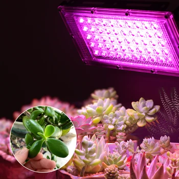 2vnt 50W 100W LED Prožektorius LED Prožektoriai, 220V LED Grow Light PhytoLamp Streetlight Pilno Spektro Lempa augalų augimui lempos