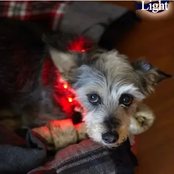 Patvarus LED Pet Pavadėlio Kolonėlė, USB Naminių Šunų Antkaklis Gali Būti perdirbti, Naudojant Krovimo Lemputė Šviesos Vaikščioti Šunų Antkaklis Pet Pavadėlio