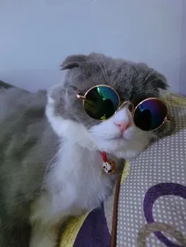 Pet Aksesuarai Šunų, Kačių, šunų pet akiniai nuo saulės akiniai pikselių tendencija šukuosena reikmenys, kačių akinius šuo akiniai nuo saulės