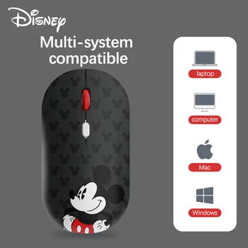 Disney Mickey 2.4 G 