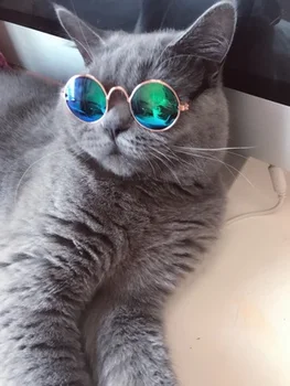 Pet Aksesuarai Šunų, Kačių, šunų pet akiniai nuo saulės akiniai pikselių tendencija šukuosena reikmenys, kačių akinius šuo akiniai nuo saulės