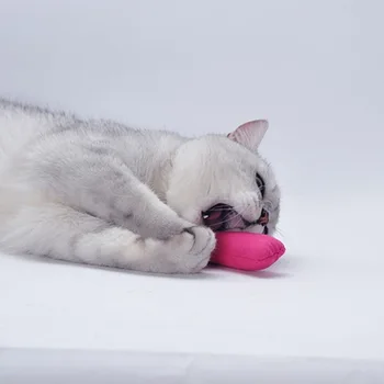 Katė Mėtų Toy Pudelis Pet Nykščio Žaislai Dantų Pagalvę Juokinga Katžolių Žaislas Katė Šlifavimo Interaktyvus Augintinio Nagai Įkando Pliušas